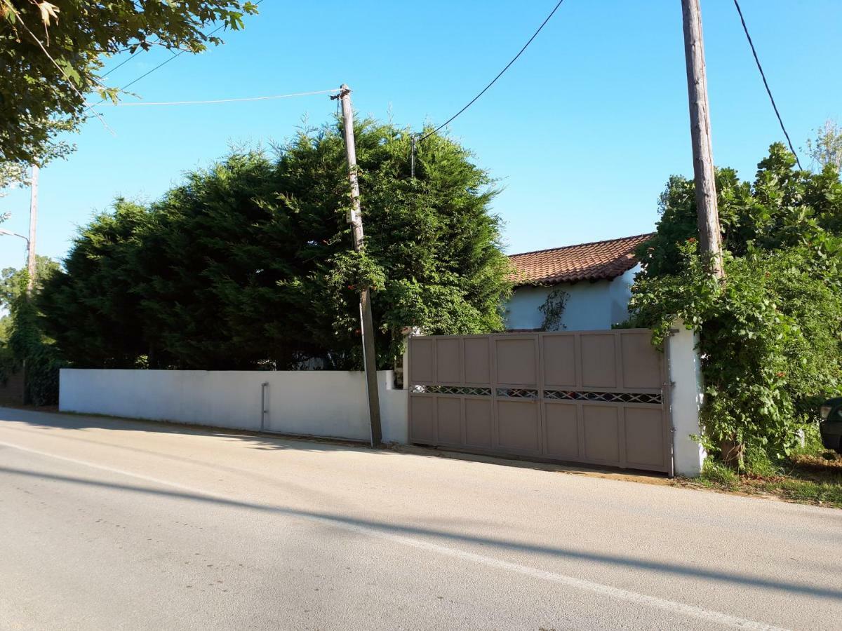 Ckiathi - Ckiaθi - Ps Rental Agia Paraskevi  Exterior photo